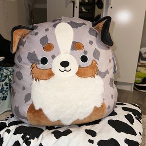 Raylor the Australian Shepard squishmallow